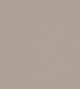 Solaire Fabric by Warwick Coconut