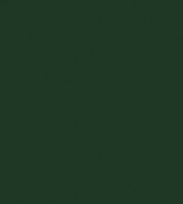 Solaire Fabric by Warwick Evergreen