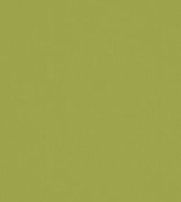Solaire Fabric by Warwick Lime