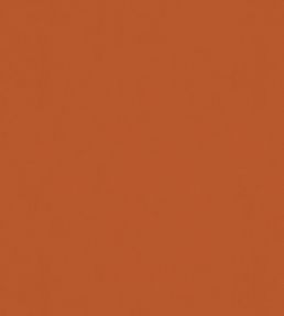 Solaire Fabric by Warwick Mandarin