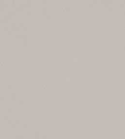 Solaire Fabric by Warwick Mist