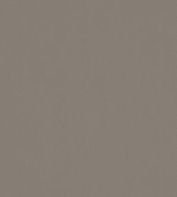 Solaire Fabric by Warwick Pebble