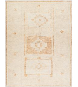 Livabliss Solana rug Orange BOOC2300-31157 Orange