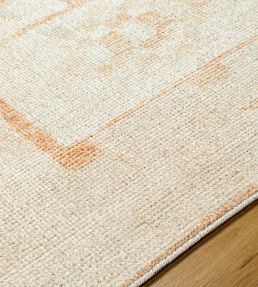 Livabliss Solana rug Orange BOOC2300-31157 Orange