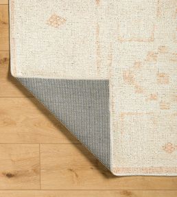 Livabliss Solana rug Orange BOOC2300-31157 Orange