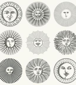 Soli Wallpaper by Cole & Son Black & White