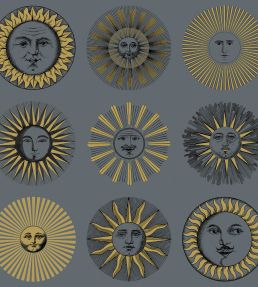 Soli Wallpaper by Cole & Son Midnight & Soft Gold