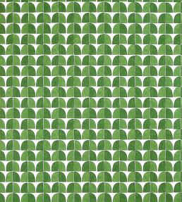 Solsbury Wallpaper by Thibaut Green