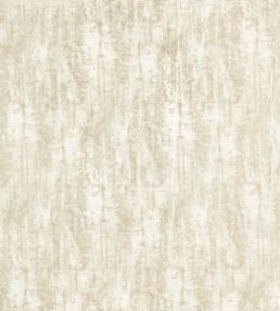 Sontuoso Fabric by Clarke & Clarke Ivory