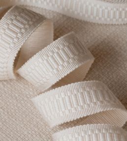 Sophie Border Trimming by Samuel & Sons Salt
