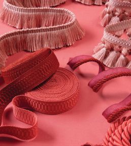 Sophie Border Trimming by Samuel & Sons Mineral
