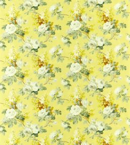 Sorilla Fabric by Sanderson Mimosa