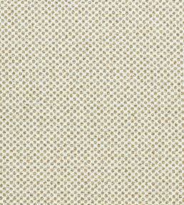 Sotano Fabric by Clarke & Clarke Palm