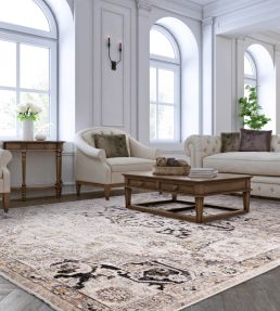 Asiatic Sovereign Medallion rug Antique 02 SOVE2002900002 Antique 02