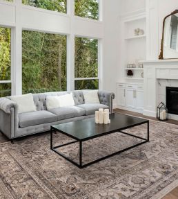 Asiatic Sovereign Medallion rug Ash 06 SOVE2002900006 Ash 06