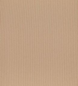 Spencer Fabric by Clarke & Clarke Spice
