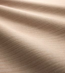 Spencer Fabric by Clarke & Clarke Spice