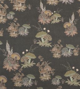 Spicewood Wallpaper by Parker & Jules Hunter