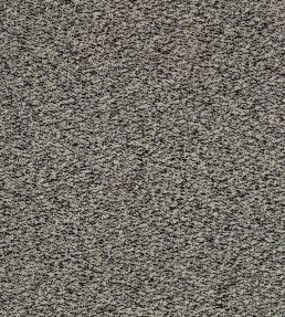 Spiral Fabric by Kirkby Design Noir
