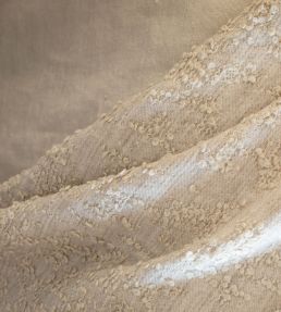 Spume Fabric by Lizzo Champagne