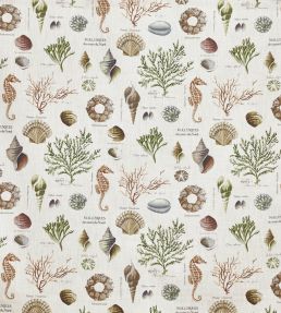 St Helier Fabric by Prestigious Textiles Seaweed