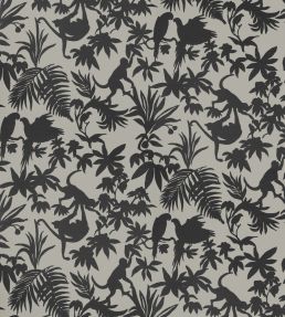 St. Kitts Wallpaper by Thibaut Black and Tan