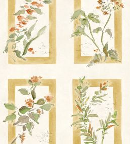 Sta Cruz Wallpaper by Coordonne Ocre