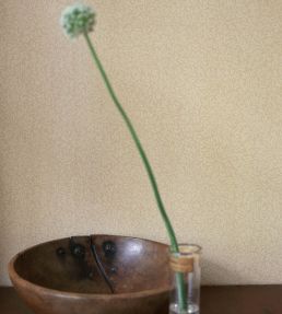 Standen Wallpaper by Morris & Co Light Green