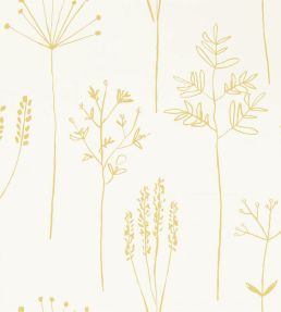 Stipa Wallpaper by Scion Honey