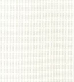 Stratus Fabric by Thibaut Oyster