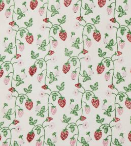 Strawberry Fabric by Molly Mahon Grass