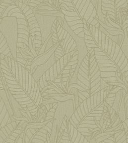 Strelitzia Wallpaper by Arte Olive