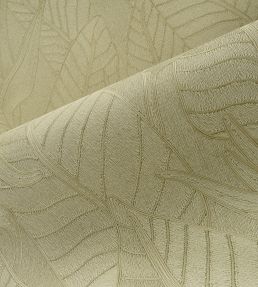 Strelitzia Wallpaper by Arte Olive