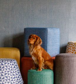 Circus Fabric by Fermoie Grey