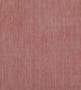 Strie Fabric by Fermoie Professor