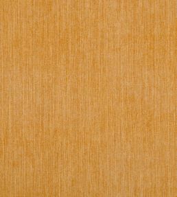 Strie Fabric by Fermoie Geoffs Coat