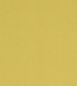 Alora Fabric by Studio G Celery