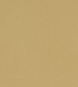 Alora Fabric by Studio G Malt