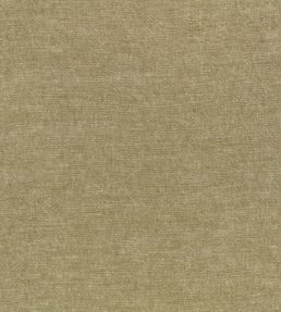 Studland Fabric by Zinc Olive