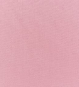 Style Fabric by Prestigious Textiles Bon Bon