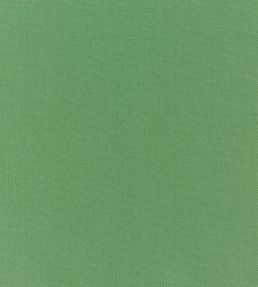 Style Fabric by Prestigious Textiles Cactus