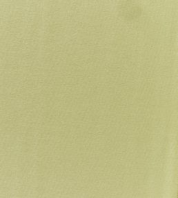 Style Fabric by Prestigious Textiles Pear