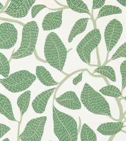 Sweet Bay Wallpaper by Scion Forest