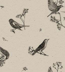 Sweet Birds Wallpaper by Coordonne Black