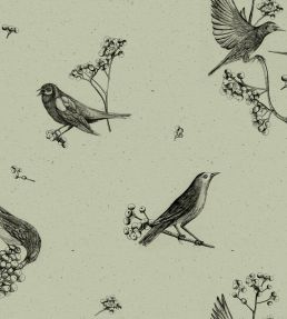 Sweet Birds Wallpaper by Coordonne Matcha