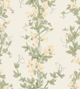 Sweet Pea Wallpaper by Farrow & Ball Cool