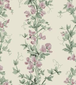 Sweet Pea Wallpaper by Farrow & Ball Pink