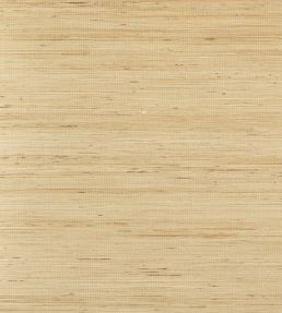 Sydney Wallpaper by Thibaut Light Taupe