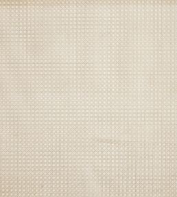 Symmetry Fabric by Prestigious Textiles Husk
