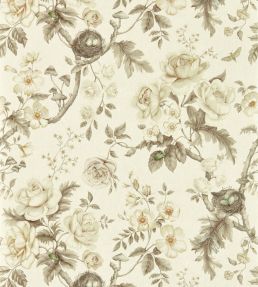 Tansy Bloom Wallpaper by Sanderson Oyster